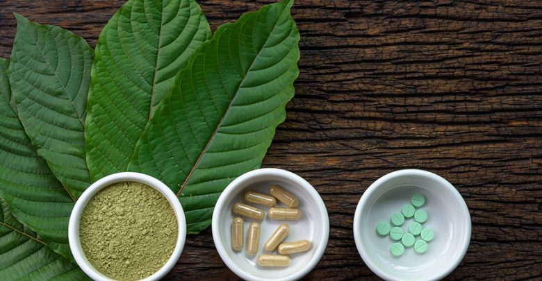 Kratom plant extracts Who Is a Good Candidate to Buy Kratom Powder and Capsules? - Kratom benefits 5