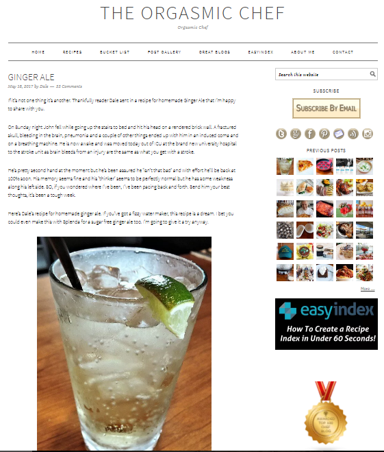 Best 50 Healthy Food Blogs and Websites to Follow 47 Orgasmic Chef Best 50 Healthy Food Blogs and Websites to Follow - 47
