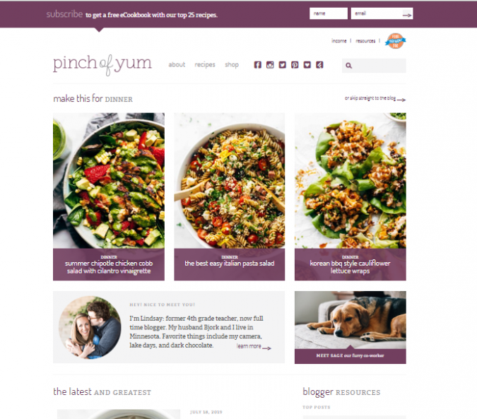 Best 50 Healthy Food Blogs and Websites to Follow 32 Pinch of Yum Best 50 Healthy Food Blogs and Websites to Follow - 32