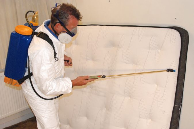 Critters: Dealing With Bed Bugs and Other Unwanted Guests 7 Bed Bugs pest control service Critters: Dealing With Bed Bugs and Other Unwanted Guests - 7
