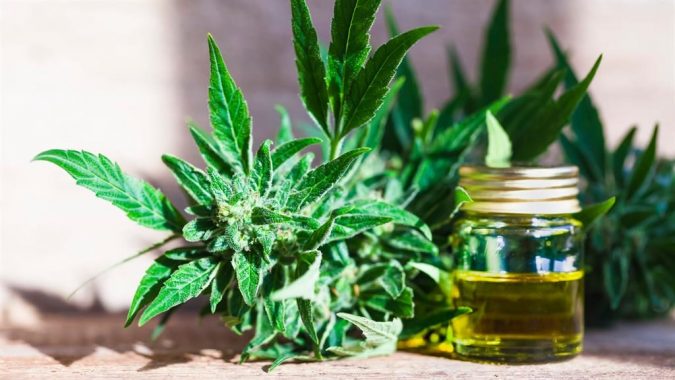 CBD oil Top 15 Medical Uses of CBD Oil That You Should Know - 2