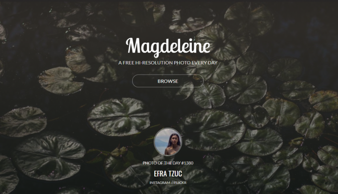 Top 50 Free Stock Photos Websites to Use 32 Magdeleine stock image website screenshot Top 50 Free Stock Photos Websites to Use - 32