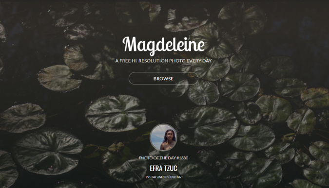 Magdeleine-stock-image-website-screenshot-675x387 Top 50 Free Stock Photos Websites to Use in 2022