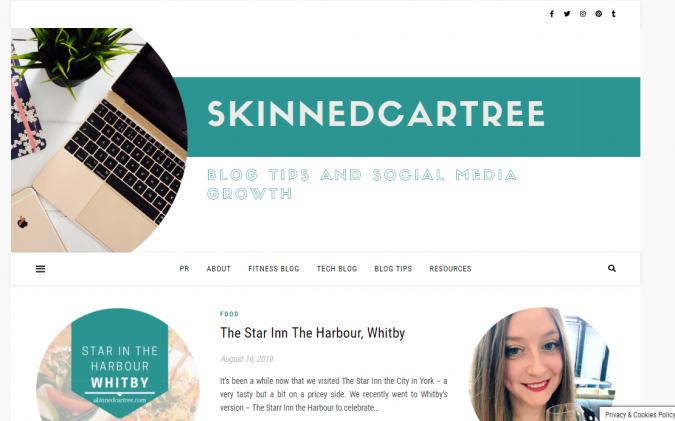 Skinnedcartree website screenshot Best 50 Lifestyle Blogs and Websites to Follow - 33