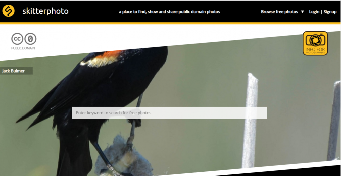 Top 50 Free Stock Photos Websites to Use 22 Skitterphoto stock image website screenshot Top 50 Free Stock Photos Websites to Use - 22