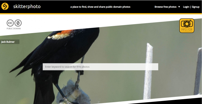 Skitterphoto-stock-image-website-screenshot-675x349 Top 50 Free Stock Photos Websites to Use in 2022