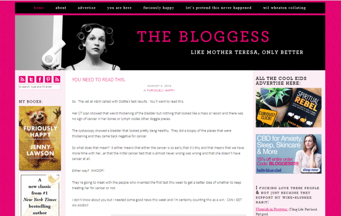 The-Bloggess-website-screenshot-675x427 Best 50 Lifestyle Blogs and Websites to Follow in 2022