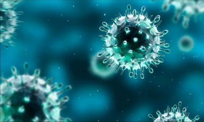 Best 10 Hemp Oil Uses and Benefits 11 immunity immune system Best 10 Hemp Oil Uses and Benefits - 11