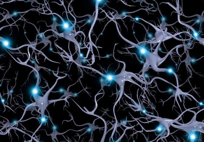 tangle of neurons brain Top 15 Medical Uses of CBD Oil That You Should Know - 15
