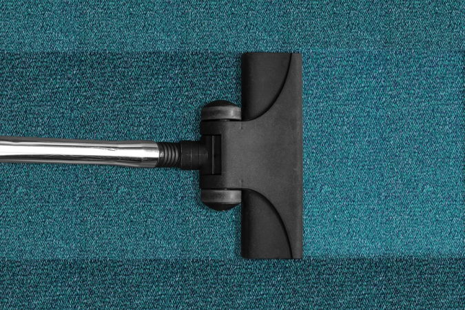 Critters: Dealing With Bed Bugs and Other Unwanted Guests 8 vaccum Critters: Dealing With Bed Bugs and Other Unwanted Guests - 8
