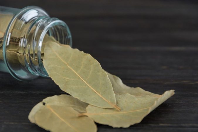 Bay leaves Best 15 Natural Remedies for Getting Rid of Pests in Your House - 7