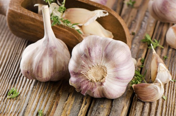 garlic Best 15 Natural Remedies for Getting Rid of Pests in Your House - 1