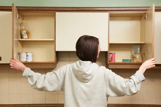 kitchen cupboard Best 15 Natural Remedies for Getting Rid of Pests in Your House - 8