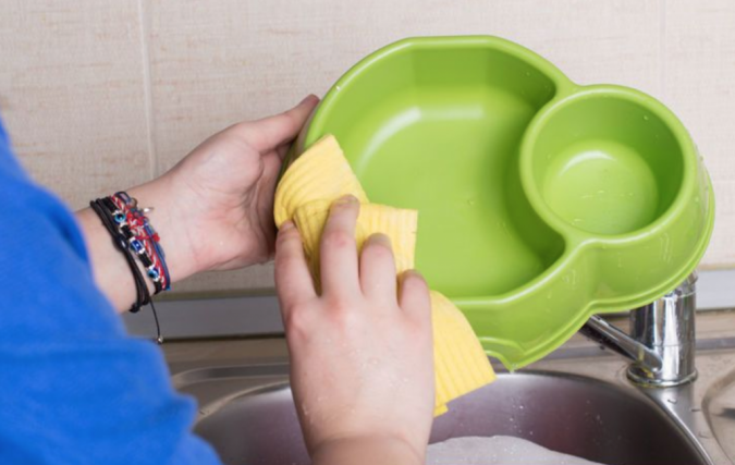 pet bowl Best 15 Natural Remedies for Getting Rid of Pests in Your House - 16