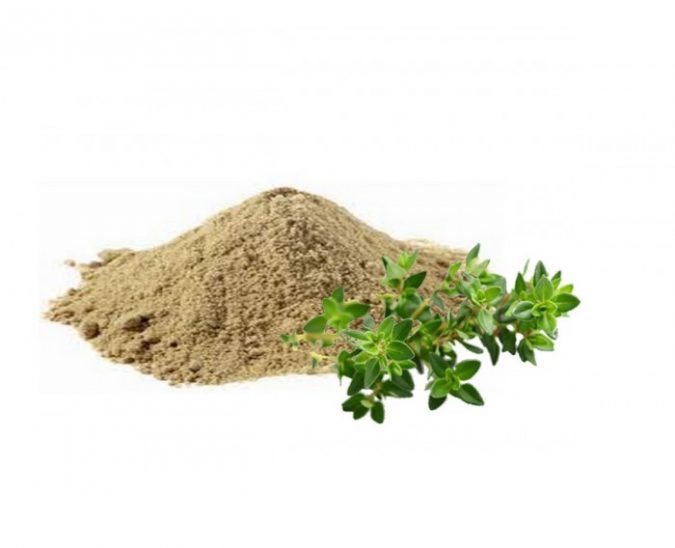 Best Nootropics to Improve Your Brain Power 2 Bacopa Monnieri e1570950243522 Best Nootropics to Improve Your Brain Power - 2