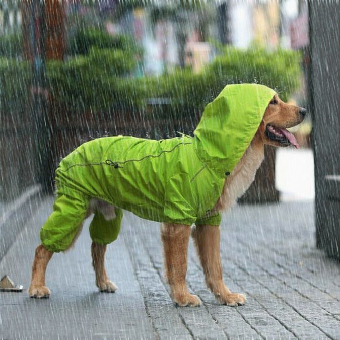 Top 10 Latest products to Enjoy Your Winter 12 Rain jacket. Top 10 Latest products to Enjoy Your Winter - 12