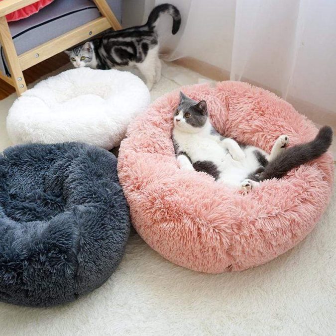 cat house Top 10 Latest products to Enjoy Your Winter - 14
