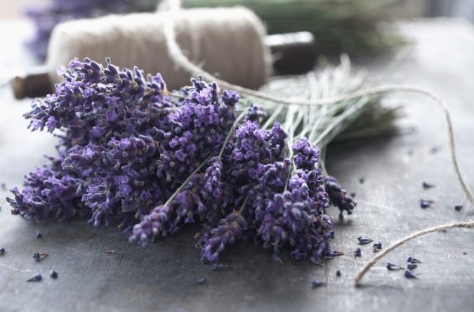 Top 7 Tips for Storing Your Summer Items During Winter 8 storing clothes with lavender Top 7 Tips for Storing Your Summer Items During Winter - 8
