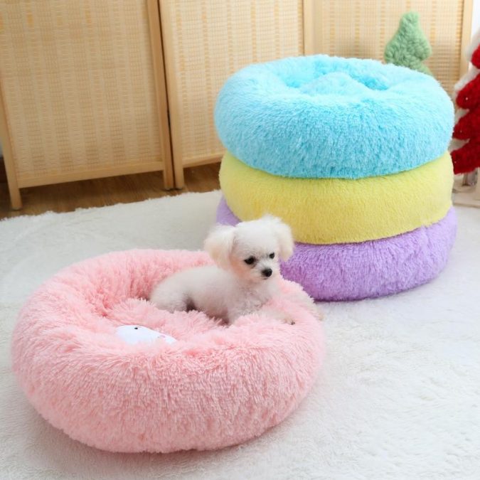 Dog Bed Top 15 Most Expensive Christmas Gifts Worldwide - 14