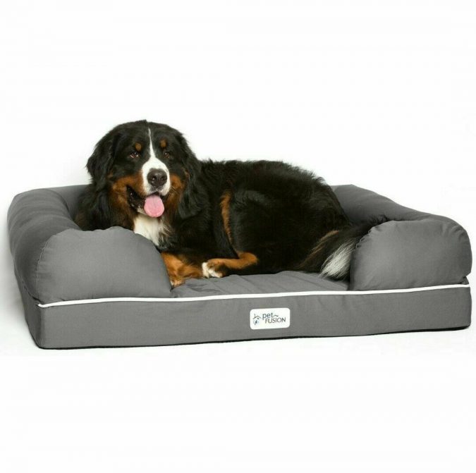 Dog Bed. 1 Top 15 Most Expensive Christmas Gifts Worldwide - 13