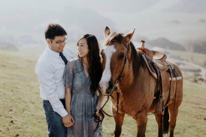horse Top 10 Most Luxurious Wedding Gift Ideas for Wealthy Couple - 7