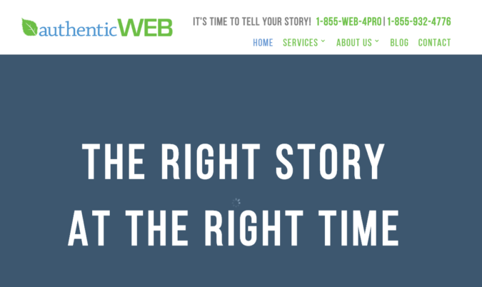 Top 75 SEO Companies & Services in the World 49 AuthenticWeb screenshot Top 75 SEO Companies & Services in the World - 49