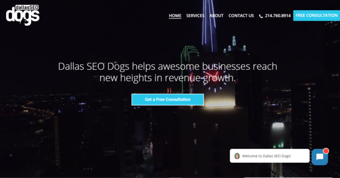 Top 75 SEO Companies & Services in the World 23 Dallas SEO Dogs screenshot Top 75 SEO Companies & Services in the World - 23