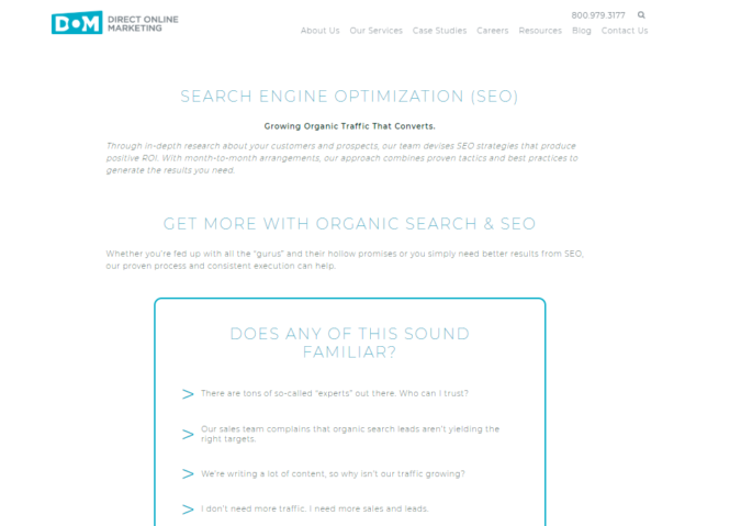 Top 75 SEO Companies & Services in the World 53 Direct Online Marketing screenshot Top 75 SEO Companies & Services in the World - 53