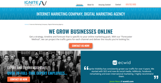 Top 75 SEO Companies & Services in the World 21 Ignite Visability screenshot Top 75 SEO Companies & Services in the World - 21