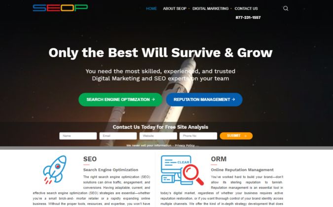 Top 75 SEO Companies & Services in the World 73 SEOP website screenshot Top 75 SEO Companies & Services in the World - 73