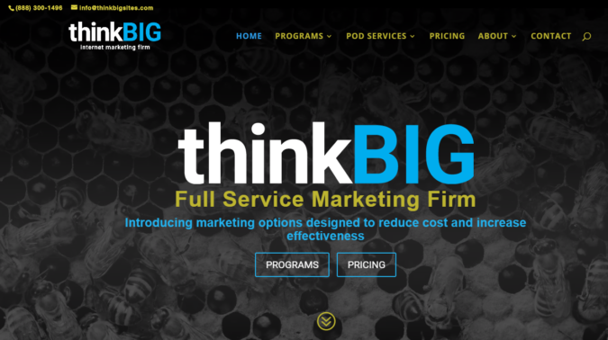 Top 75 SEO Companies & Services in the World 76 Think Big SEO website screenshot Top 75 SEO Companies & Services in the World - 76