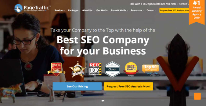 page traffic screenshot Top 75 SEO Companies & Services in the World - 2