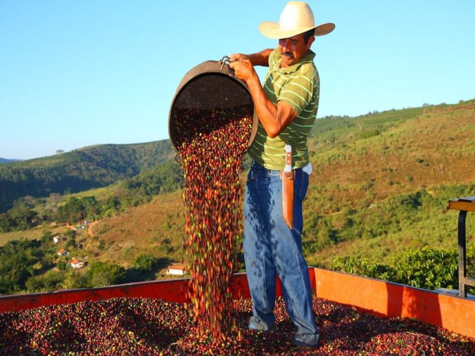 Brazil coffee Top 10 Best Coffee Producing Countries in the World - 1