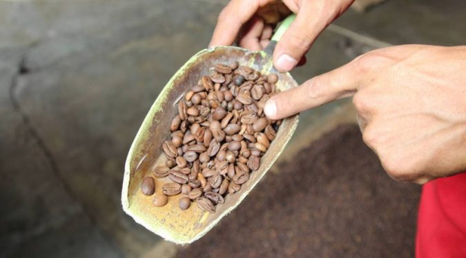 Mexico 1 Top 10 Best Coffee Producing Countries in the World - 20
