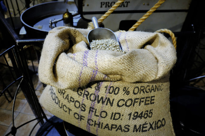 Mexico Top 10 Best Coffee Producing Countries in the World - 19