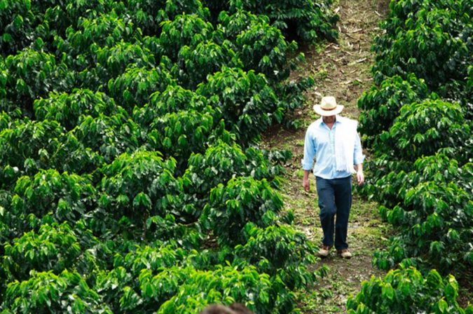 Mexico.. Top 10 Best Coffee Producing Countries in the World - 18