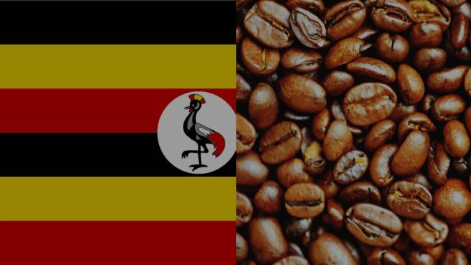 Uganda coffee Top 10 Best Coffee Producing Countries in the World - 16