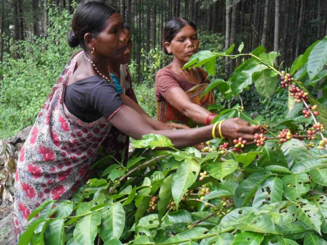 coffee farmers Top 10 Best Coffee Producing Countries in the World - 14