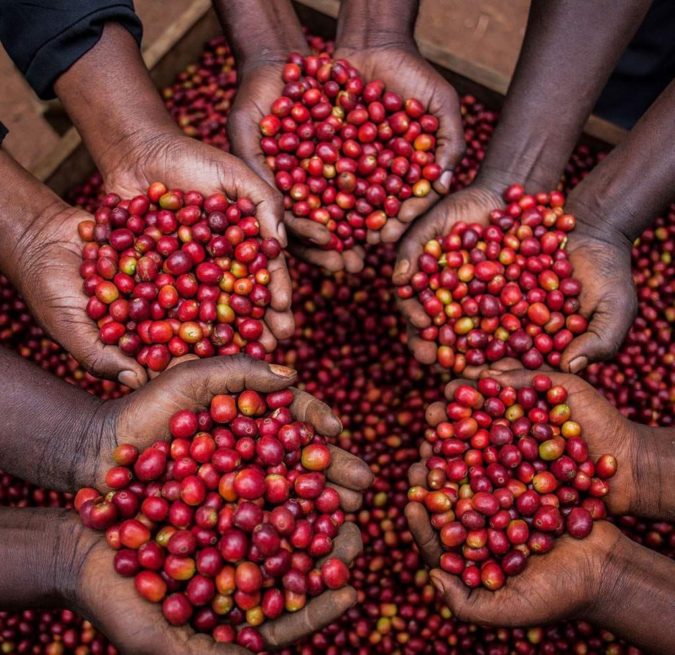 Top 10 Coffee Producing Countries in the World