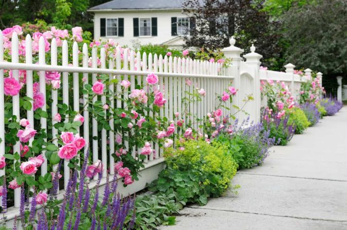 Top 20 Garden Trends: Early Predictions to Adopt 15 home garden 2 1 Top 20 Garden Trends: Early Predictions to Adopt - 15