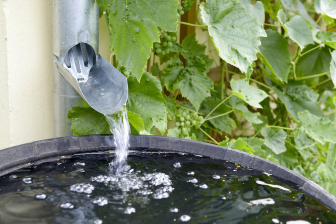 Top 20 Garden Trends: Early Predictions to Adopt 25 home garden 5 Top 20 Garden Trends: Early Predictions to Adopt - 25