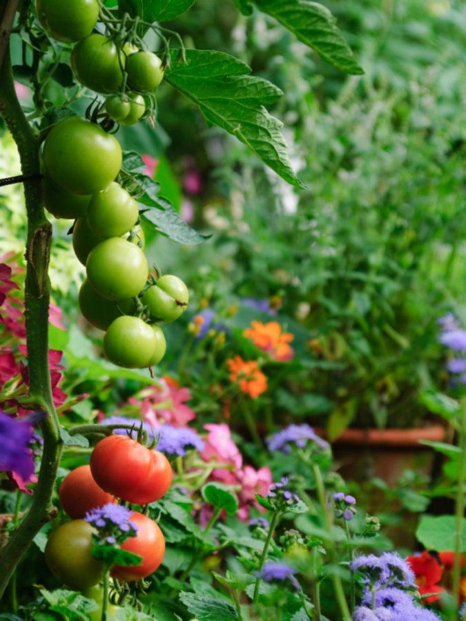 Top 20 Garden Trends: Early Predictions to Adopt 9 home garden Top 20 Garden Trends: Early Predictions to Adopt - 9