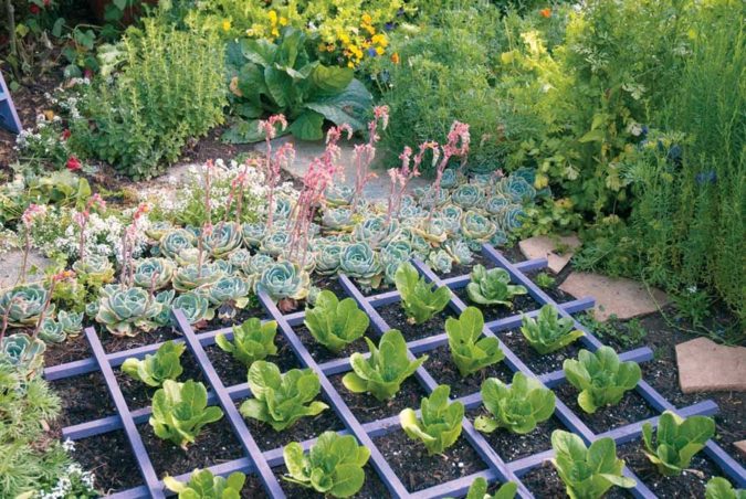 home garden ediable landscape Top 20 Garden Trends: Early Predictions to Adopt - 10