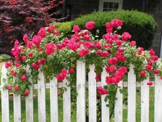 Top 20 Garden Trends: Early Predictions to Adopt 34 home garden fense Top 20 Garden Trends: Early Predictions to Adopt - 34