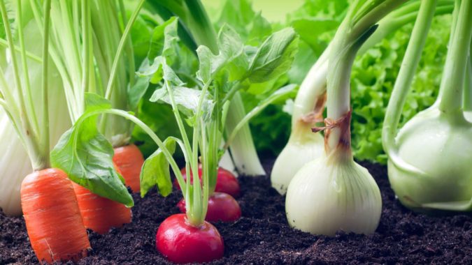 home garden fruits and vegetables Top 20 Garden Trends: Early Predictions to Adopt - 12