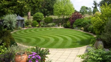 home garden patterned lawn Top 20 Garden Trends: Early Predictions to Adopt - 176