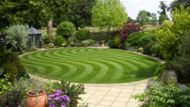 home garden patterned lawn Top 20 Garden Trends: Early Predictions to Adopt - Garden 4