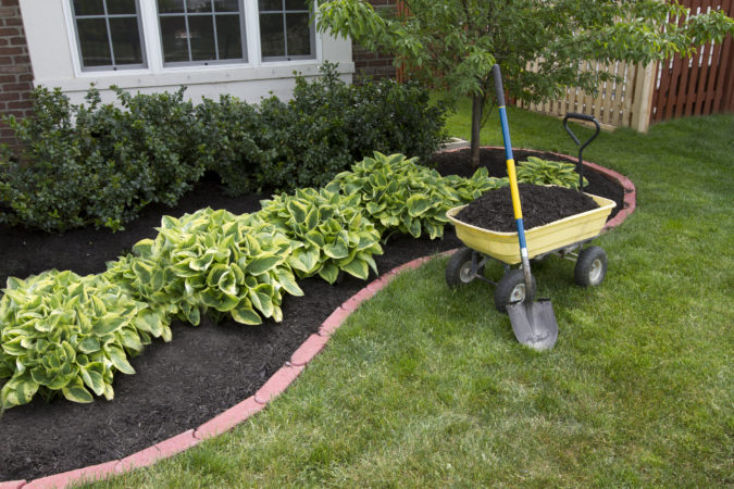 Top 20 Garden Trends: Early Predictions to Adopt 21 low maintenance home garden Top 20 Garden Trends: Early Predictions to Adopt - 21