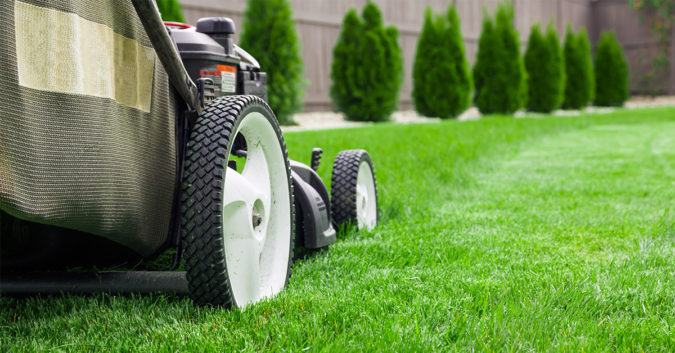 Lawn Mowing business How an Autistic Person Can Start His Own Business and Hire Others - 9