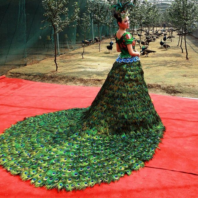 15 Most Expensive Celebrity Wedding Dresses 5 Peacock dress 15 Most Expensive Celebrity Wedding Dresses - 5